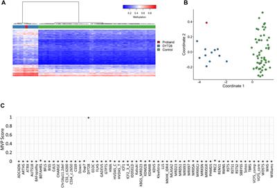 Diagnostic utility of DNA methylation episignature analysis for early diagnosis of KMT2B-related disorders: case report